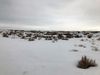 3951 S US 40 Hwy photo
